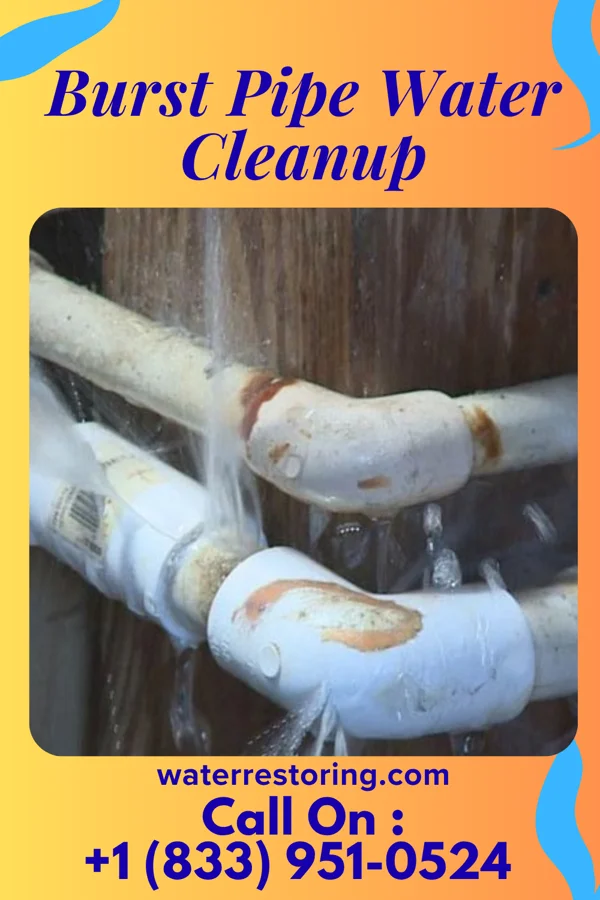 Burst Pipe Water Cleanup in Lawrence, KS