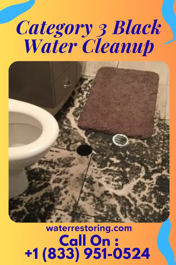 Category 3 Black Water Cleanup in Lawrence, KS