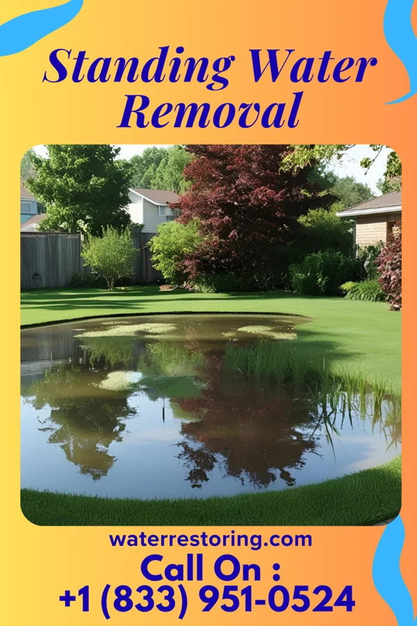 Standing Water Removal in Lawrence, KS